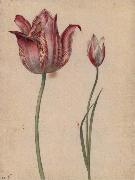 Georg Flegel Two Tulips oil painting artist